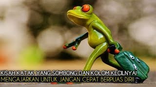 Kisah Katak yang Sombong dan Kolom Kecilnya! Mengajarkan untuk Jangan Cepat Berpuas Diri!
