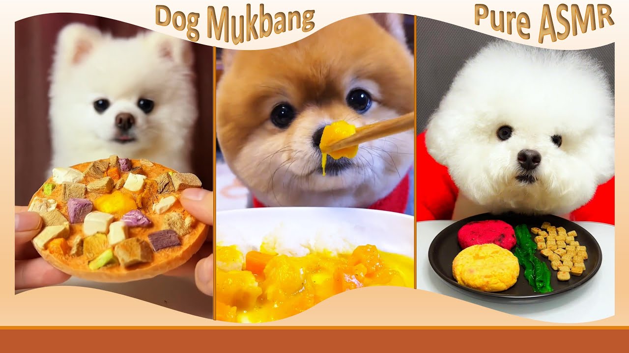 Cutest Dog Mukbang Ever 🐾 Pizza, Curry & Veggie Patties to Calm Your Mind 
