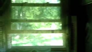 4629 Heiskell Drive - Bonny Oaks