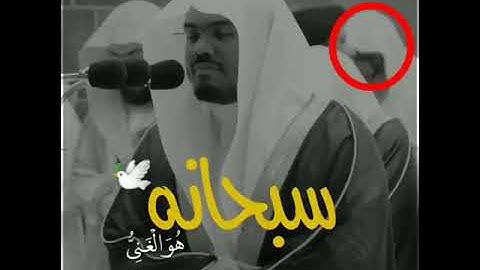 تلاوة ابكت العالم بصوت ياسر الدوسري ❤🎧|| حالات واتس اب قران