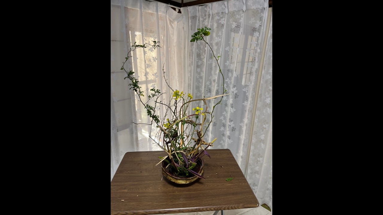 投稿902　０蘭Nature art