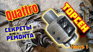видео: Торсен Quattro КПП - Секреты ремонта Часть 1 #торсен #кватро #аудикватро #кппауди #ремонткпп #кватро картинка: Торсен Quattro КПП - Секреты ремонта Часть 1 #торсен #кватро #аудикватро #кппауди #ремонткпп #кватро