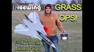 Freewing Twin 64mm F14 Tomcat Maiden Flight & Grass Ops!