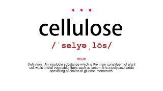 How to pronounce cellulose - Vocab Today