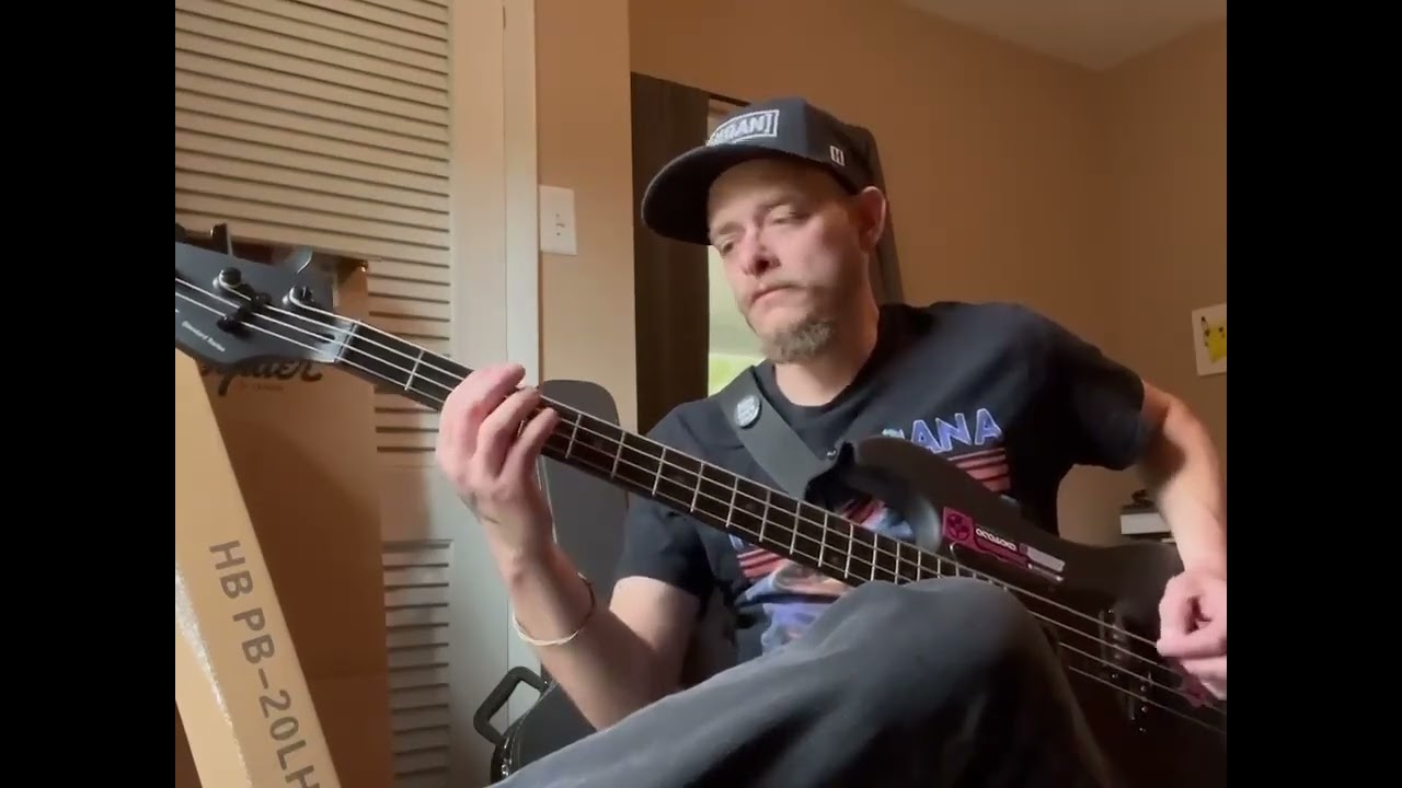 The Distillers - City of Angels bass cover