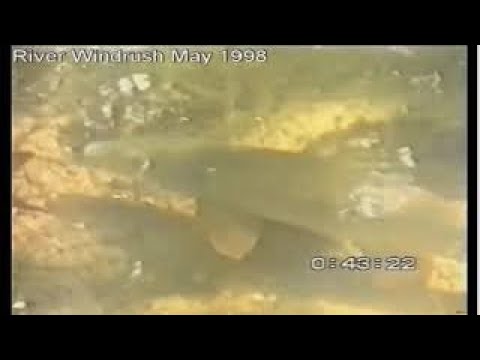 We can get this river back to health.