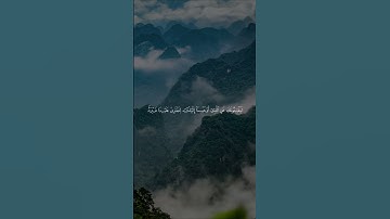 اكتب شيء تؤجر عليه | سورة الإسراء الآية 71-75 القارئ ماهر المعيقلي