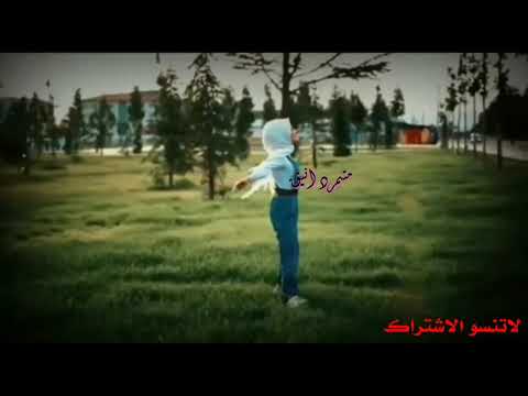 طل القمر على أرض مافي نجوم 