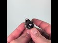 Vidéo: Uvite, Brumado, Brésil, 17 grammes