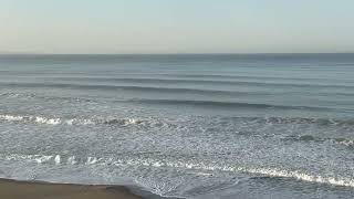 Surf report 2026