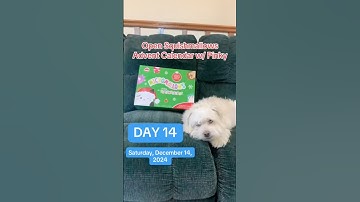 @Squishmallows Advent Calendar: DAY 14! #christmas #adventcalendar #squishmallows #unboxing #funny