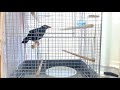 すがちゃん : 風呂。