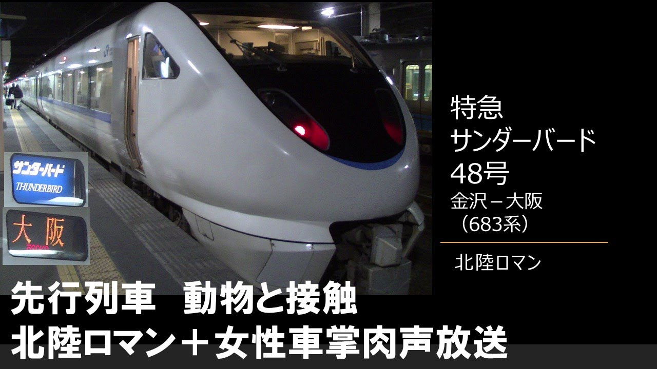 車内放送】特急サンダーバード48号（683系 北陸ロマン 女性車掌 動物
