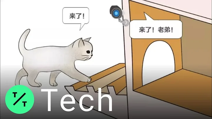 National Cat Day: Baidu's AI Smart Cattery Shelters Beijing's Stray Cats - DayDayNews