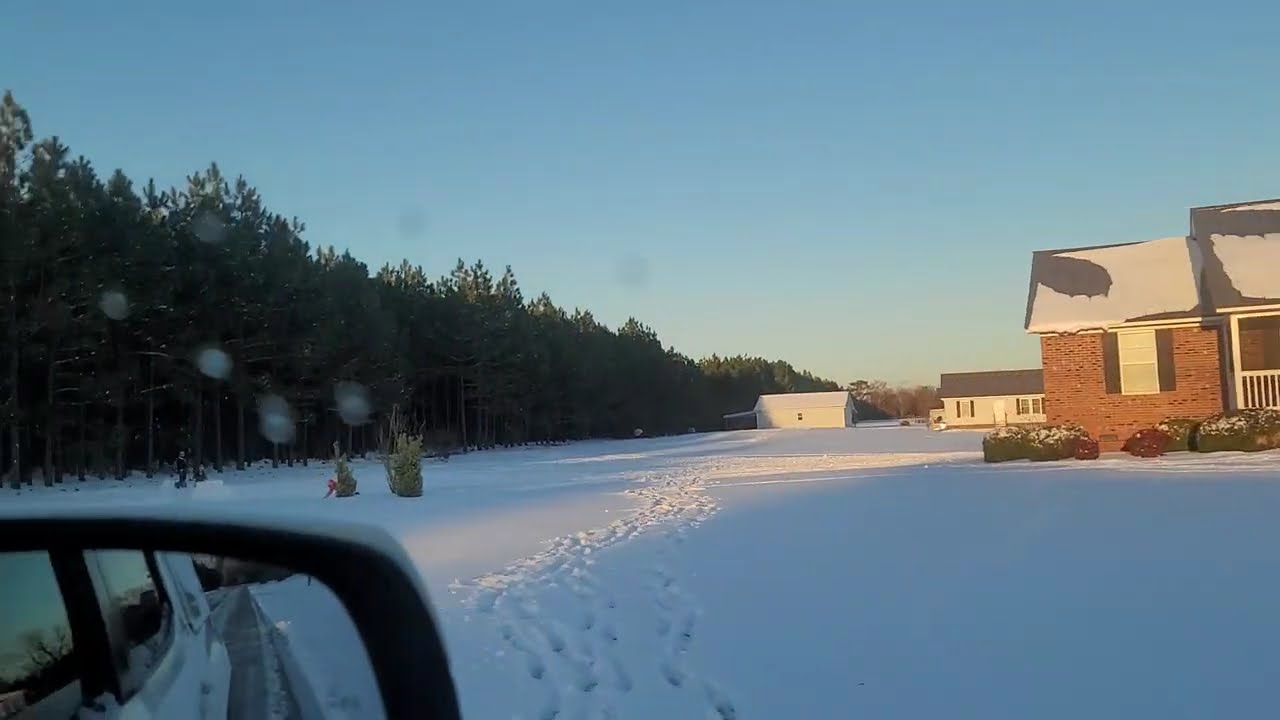 February 2025 at Little Planes Farm – Snow, Piglets, and More!