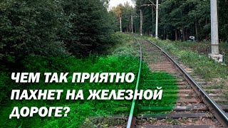 Чем так вкусно пахнет на железной дороге? Тот самый «запах детства».