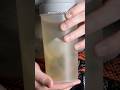 Make your own dashi packets at home
