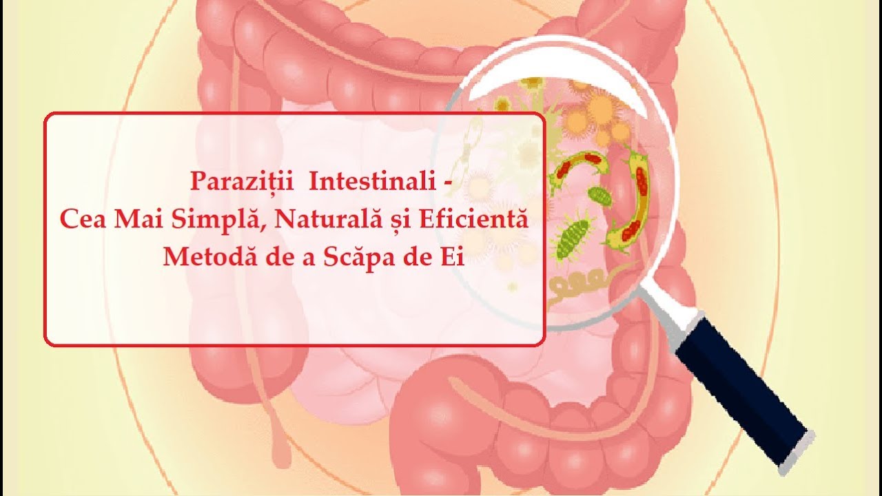 cum să elimini paraziții intestinali negi îndepărtate din uretra
