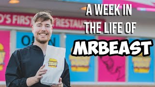 A Week In The Life of MrBeast (supposedly)