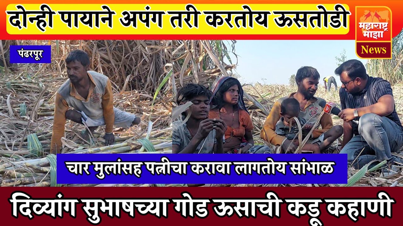 ♦️दोन्ही पायाने अपंग असूनही करावी लागतेय ऊसतोडी ! डॉक्टरच्या एका चुकीमुळे कुटुंब अडचणीत..