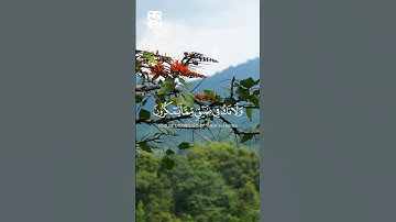 { وَاصْبِرْ وَمَا صَبْرُكَ إِلَّا بِاللَّهِ...} القارئ  فارس عباد #اكسبلور