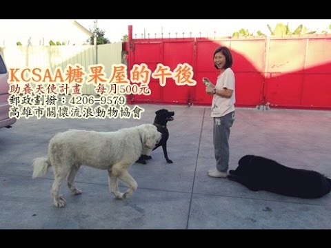 KCSAA糖果屋的午後