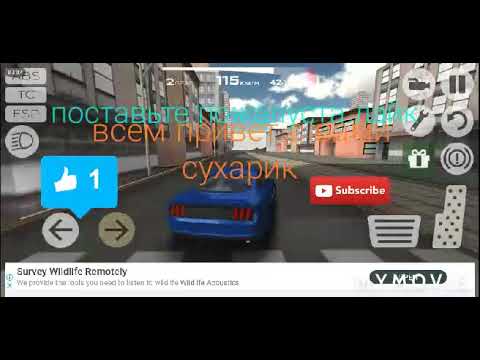 Жену в машине видео