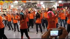 Flashmob Alinéa Avignon Le Pontet ( vidéo officielle ) - Party Rock