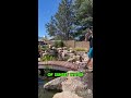 The Perfect Arch Bridge for an Aquascape Ecosystem Water Feature 🌊