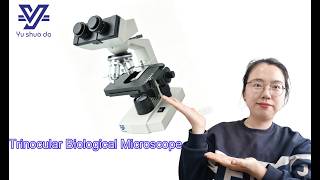 YSD Laboratory High Precision Clear Imaging Trinocular Biological Microscope