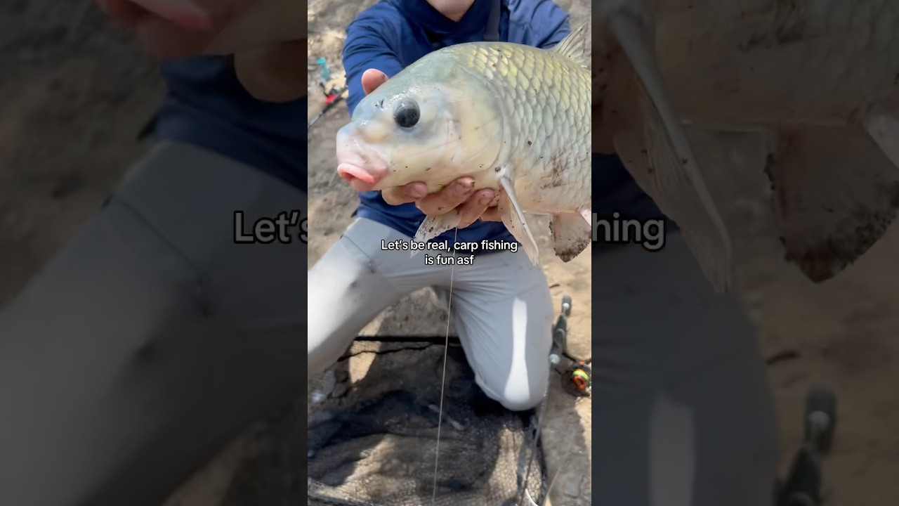 The most UNDERRATED fish to catch!👀 