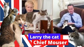 New prime minister or not, Larry the cat is here to stay | Animal Pet