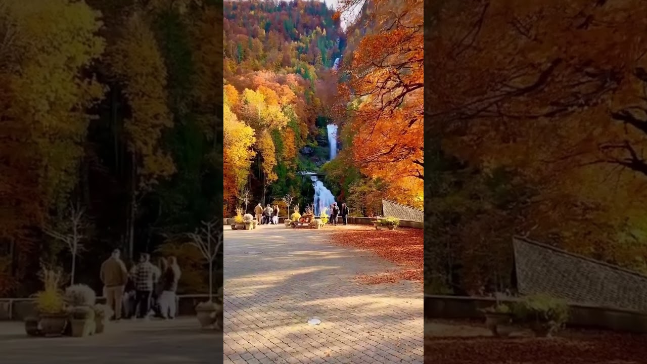 Golden Autumn of Switzerland 