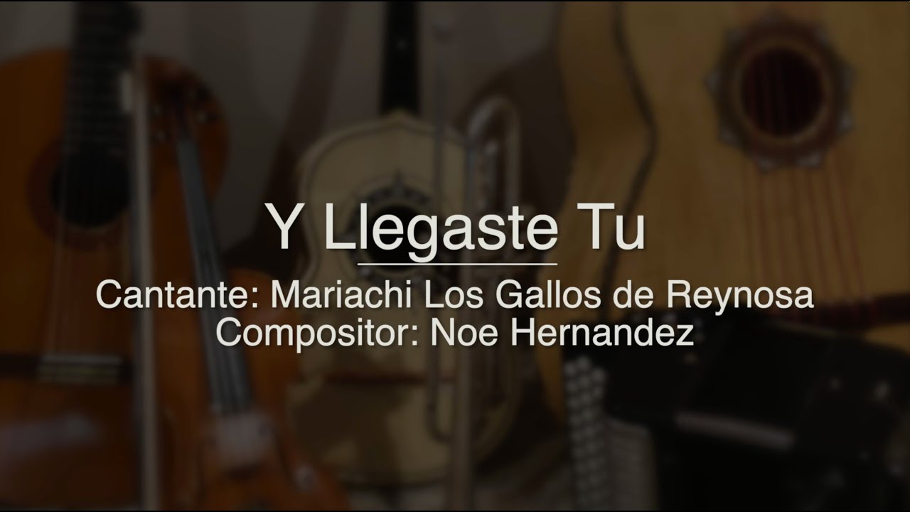 Y Llegaste Tu - Puro Mariachi Karaoke - Mariachi Los Gallos de Reynosa