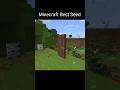 Minecraft Best Seed #minecraft #shorts
