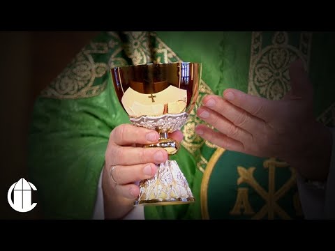 Catholic Mass Today: 7/30/23 | Seventeenth Sunday in Ordinary Time