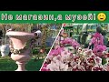 ✨Манит и зовёт:садовый центр Петручёли!💞🤗