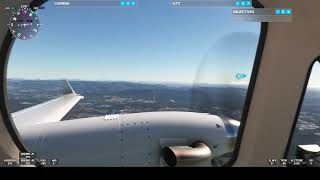 flight sim