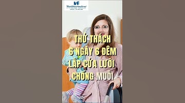 Cửa lưới chống muỗi gọn hữu ích cho ngôi nhà không còn muỗi làm phiền không gian sống khỏe mạnh hơn