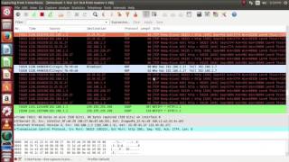 Install mininet on ubuntu