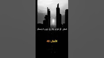 ارح قلبك المتعب قليلا 💙🎧 #تلاوة_خاشعة #راحة_نفسية #القرآن_الكريم #ارح_قلبك #أرح_سمعك #ماهر_المعيقلي