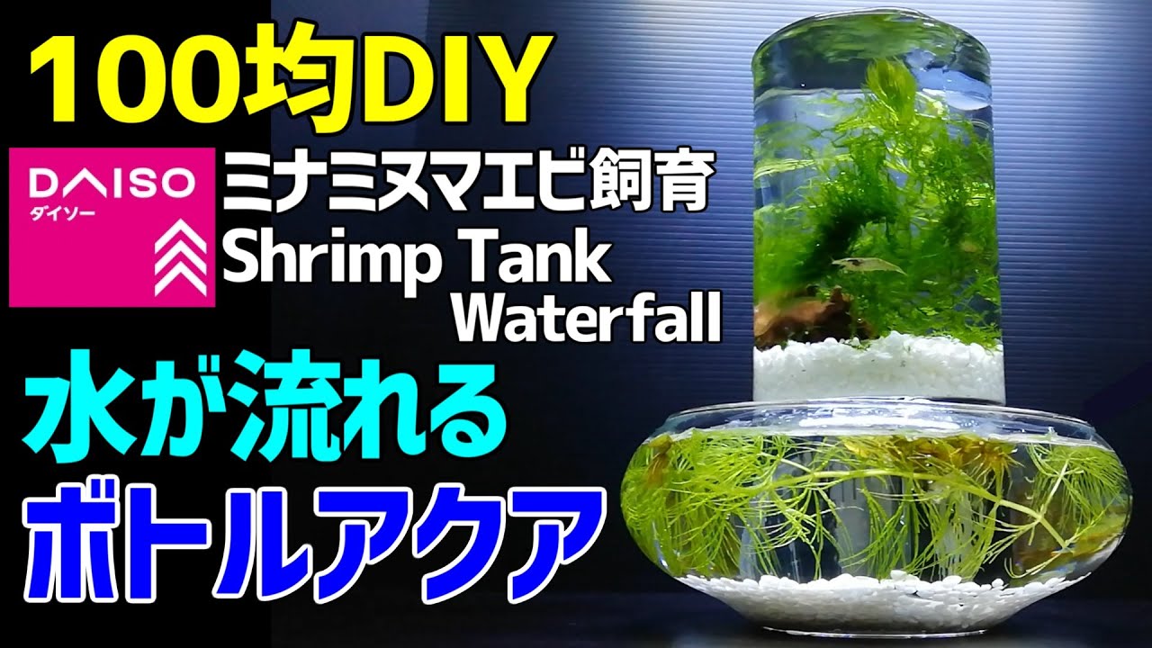 水が流れる ボトルアクアリウム 作り方100均diy ミナミヌマエビ メダカ室内飼育 How To Make Tabletop Waterfall Fountain Shrimp Tank Youtube