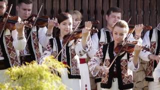 Ion Paladi - Bunicii cu vocea caldă (Orchestra "Lăutarii" dirijată de maestrul Nicolae Botgros) chords