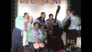 Video thumbnail of "Descripcion De La Rumba Los Compadres.wmv"