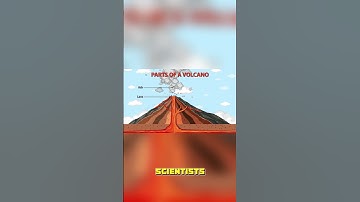 Mars has the tallest volcano in the solar system