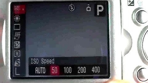 Canon A610/A620: Spot Meter Function