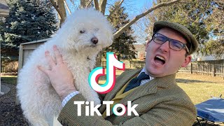 QUINCY DOG TIKTOK COMPILATION!