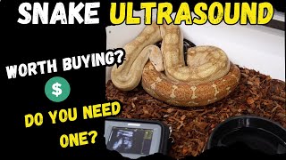 Snake Ultrasound - Is it worth purchasing? Do you REALLY need one? How and When to Ultrasound.