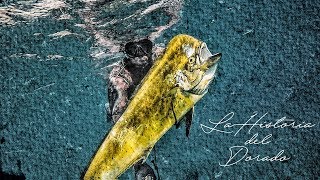 Spearfishing. The History Of El Dorado Dolphinfishmahi Mahi 17Kg Personal Record