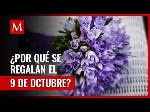 Por esto se regalan flores moradas el 9 de octubre El misterioso significado detrás de las flores moradas
